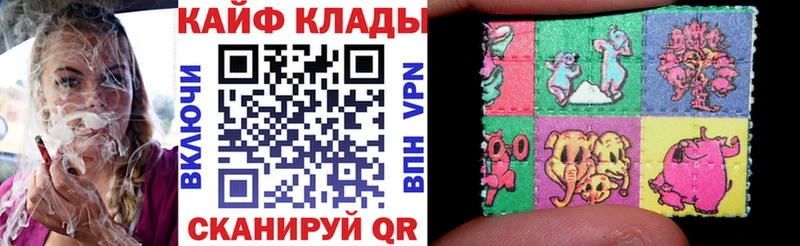 Как найти закладки Конаково СОЛЬ  Меф мяу мяу  Галлюциногенные грибы  Cocaine  Бошки Шишки 