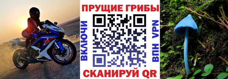 omg ССЫЛКА  Конаково  Галлюциногенные грибы прущие грибы 